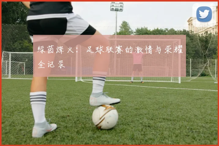 绿茵烽火:足球联赛的激情与荣耀全记录