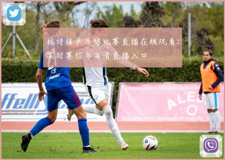 林诗栋乒乓球比赛直播在线观看：实时赛程与高清直播入口